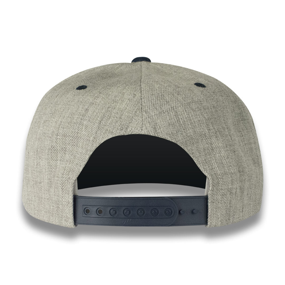Money Bag (Grey & Blue Snapback Hat)