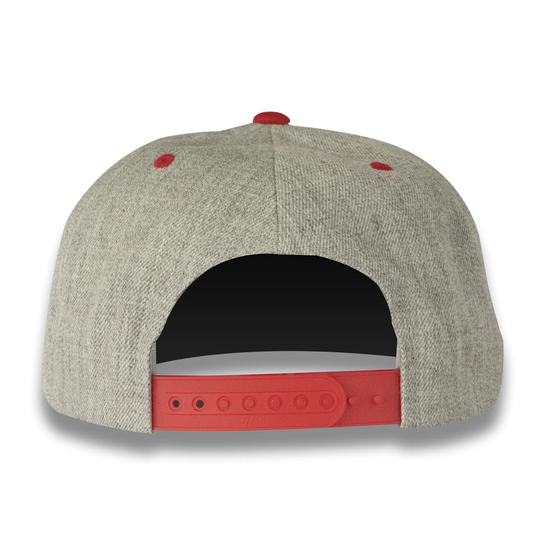 Money Bag (Grey & Red Snapback Hat)