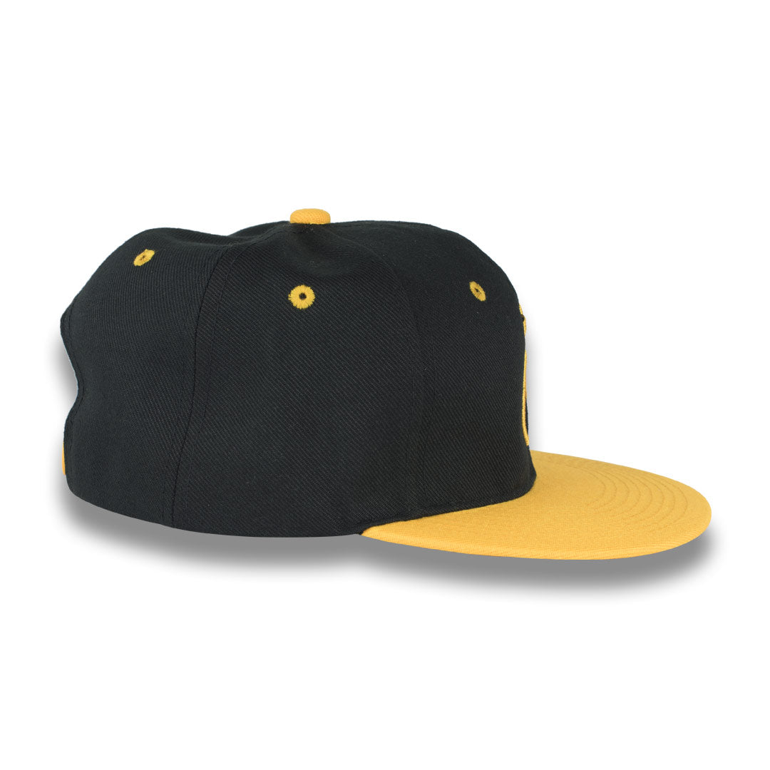 Classic Snapback - Money Bag
