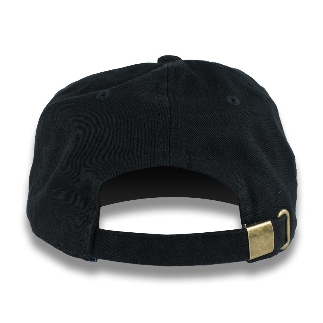 Dad Hats - Money Bag