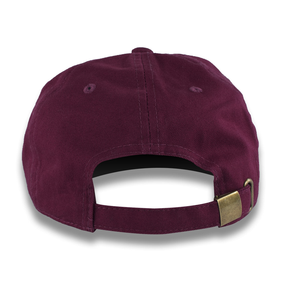 Dad Hats - Money Bag