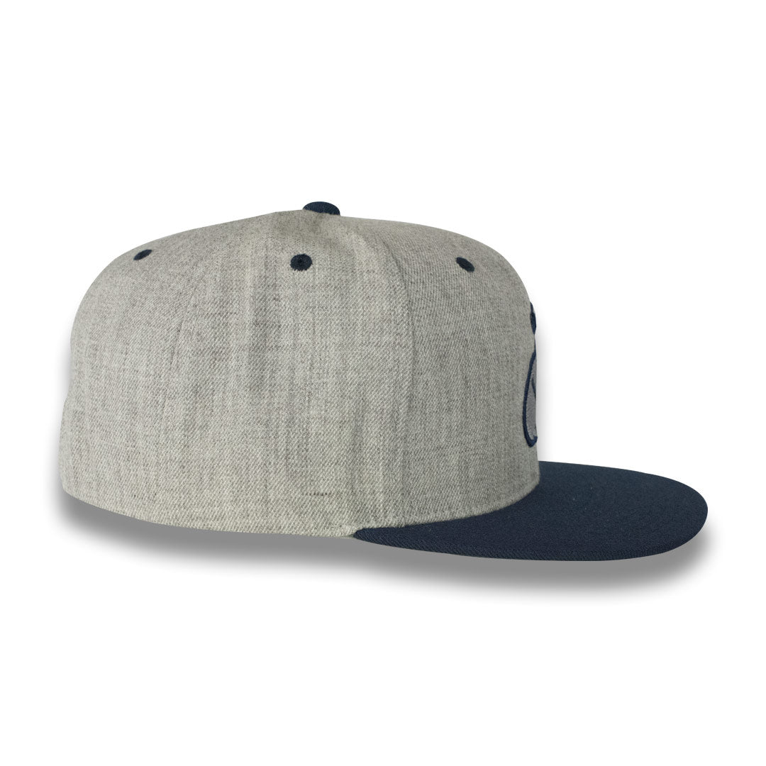 Money Bag (Grey & Blue Snapback Hat)