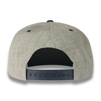 Money Bag (Grey & Blue Snapback Hat)