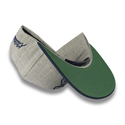 Money Bag (Grey & Blue Snapback Hat)