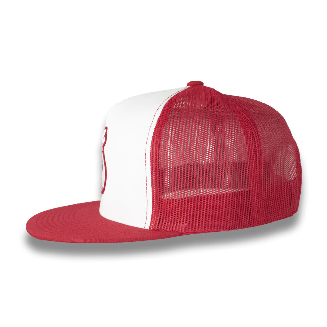 Money Bag (Mesh Snapback Hat)