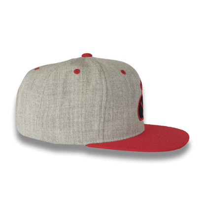 Money Bag (Grey & Red Snapback Hat)