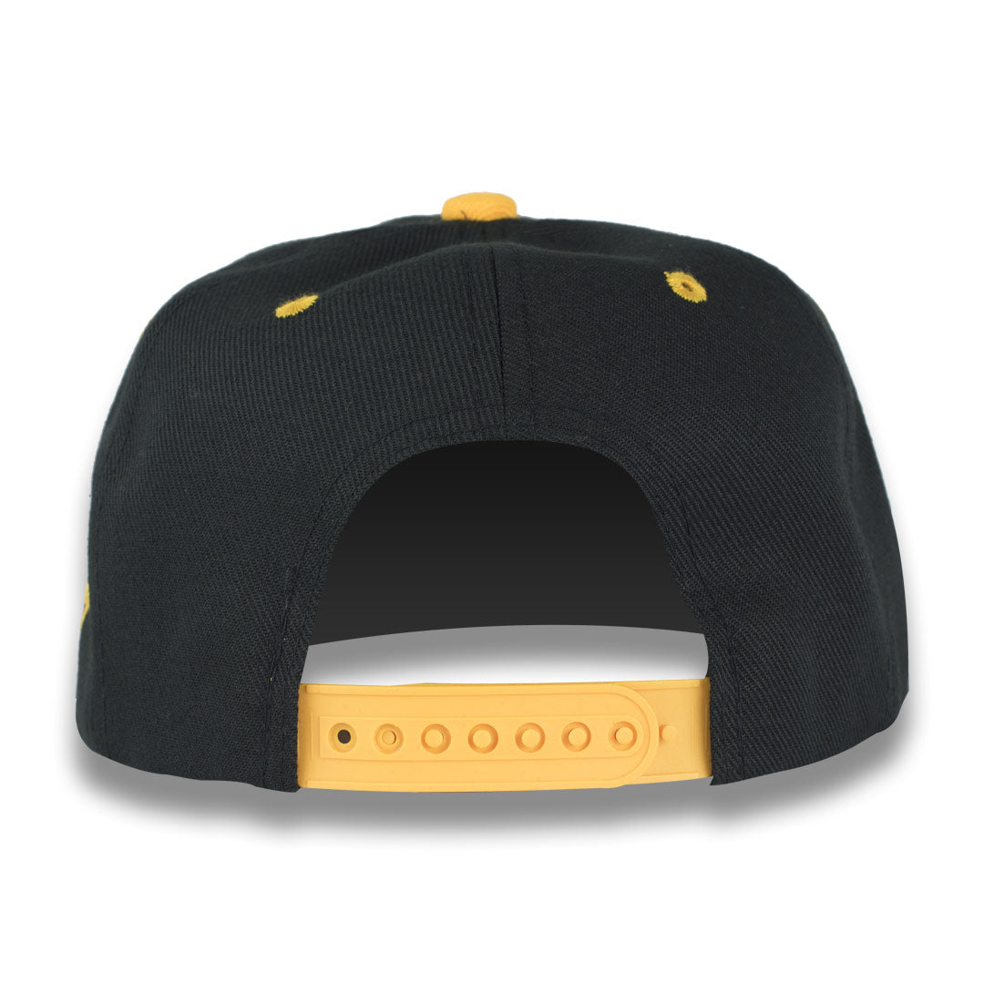 Money Bag (Color Snapback Hat)