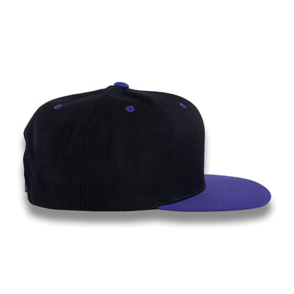 Money Bag (Black & Purple Snapback Hat)